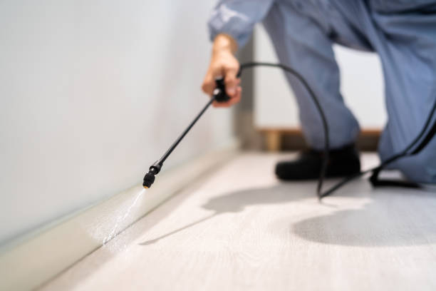 Licensed Termite Control service in Raleigh, NC - Nex Pest Control