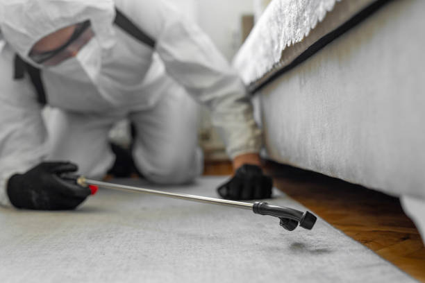 Professional Termite Control technician working in Raleigh, NC