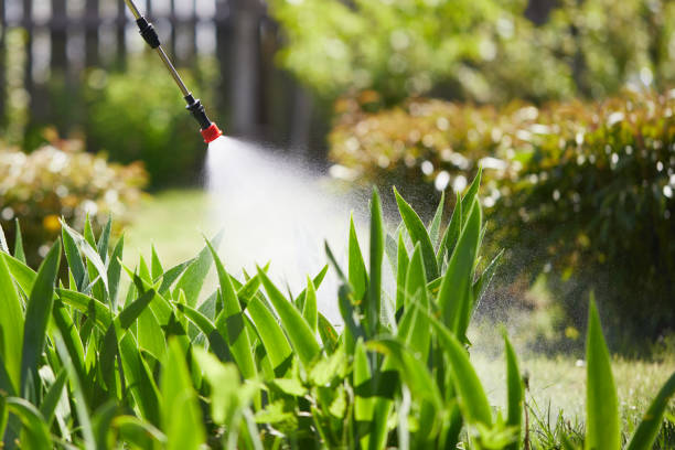 24/7 Emergency Termite Control experts in Raleigh, NC