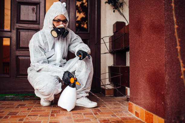Reliable Termite Control contractor in Raleigh, NC by Nex Pest Control