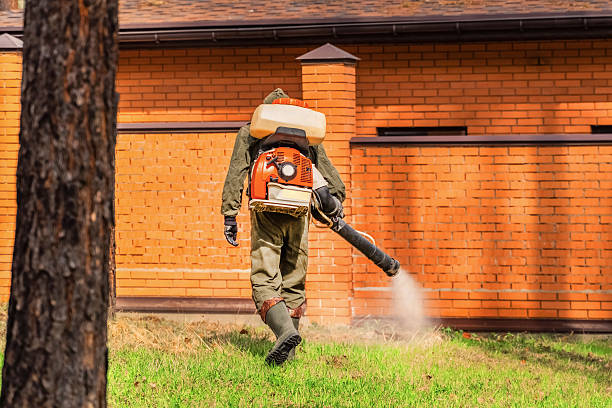 Top rated local Termite Control specialists in Raleigh, NC